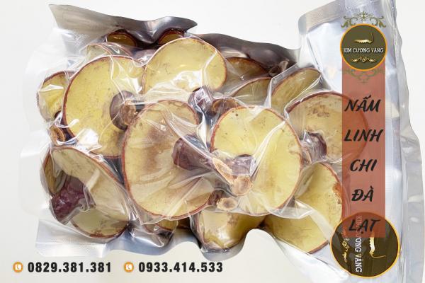 Nấm Linh Chi Non Đà Lạt (Loại Thái Lát)